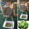 Taglierina di verdure elettrica Mchine della cipolla del ristorante automatico 300-1000KG/H di trasformazione dei prodotti alimentari