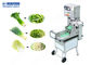 Tagliatrice di verdure multifunzionale di SUS 304 per prezzemolo 1180*550*1120mm