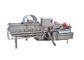 Lavatrice di ortaggi freschi di vortice di SUS304 1000KG/H