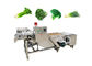Lavatrice di verdure automatica industriale della bolla del ristorante 500kg/h