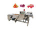 Lavatrice portatile della verdura 500kg/Hour e della frutta