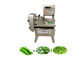 Taglierina multifunzionale di legume verde 500kg/H di 20mm