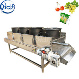 Macchina di verdure continua dell'essiccatore della frutta, larghezza 600mm del nastro trasportatore della macchina del disidratatore dell'alimento