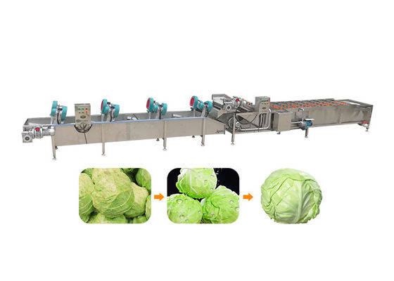 Macchina di pulitura di verdure di 5.1KW 380v 50hz 1500kg/H