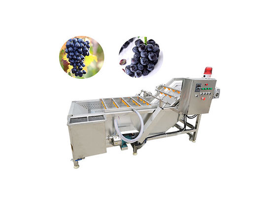 il processo di lavaggio dell'asciugatrice dell'uva 500KG/Hour lavora per l'uva passa