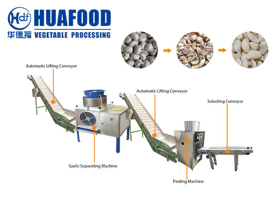 1000-2000 linea di produzione automatica industriale della macchina utensile di Peeler dell'aglio di kg/h