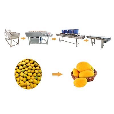 Linea di pulizia capitale della frutta e di verdura della lavatrice di verdure del mango grande