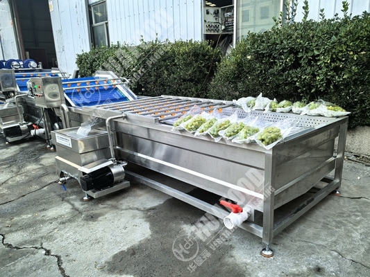 Lavatrice di frutta e verdura con piume e 220V