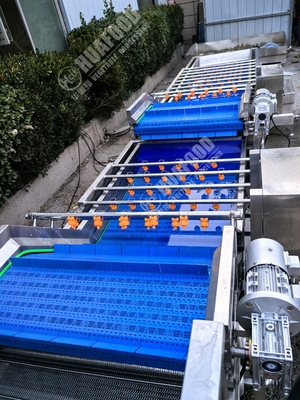 Lavatrice di frutta e verdura con piume e 220V