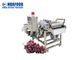 il processo di lavaggio dell'asciugatrice dell'uva 500KG/Hour lavora per l'uva passa